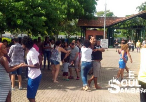 baile8